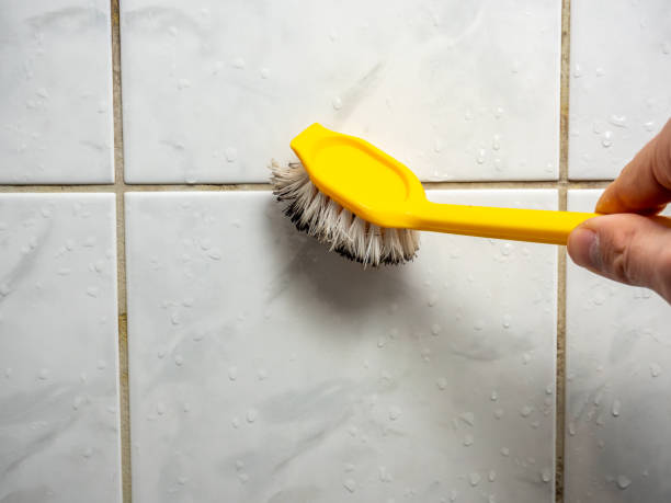 Best Toxic Mold Removal  in Seaside Heights, NJ