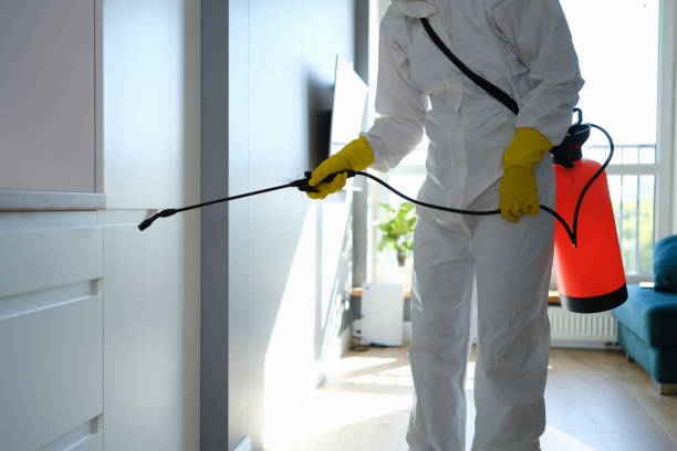 Office Mold Removal Services in Seaside Heights, NJ