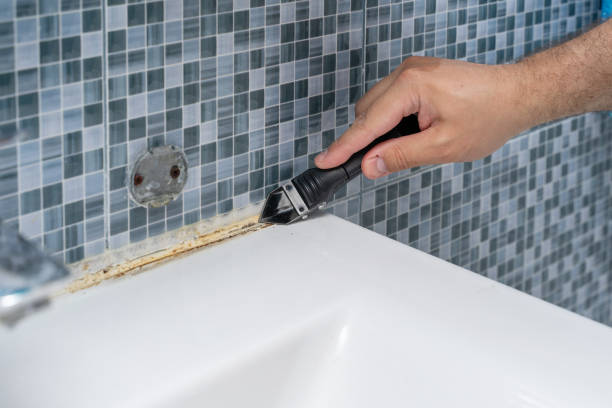Best Mold Damage Repair  in Seaside Heights, NJ
